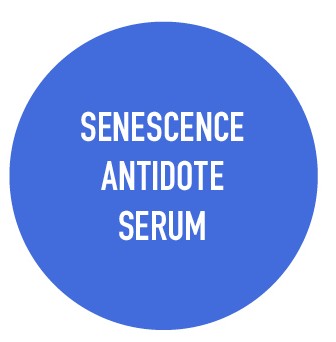 bicoalgae blue serum