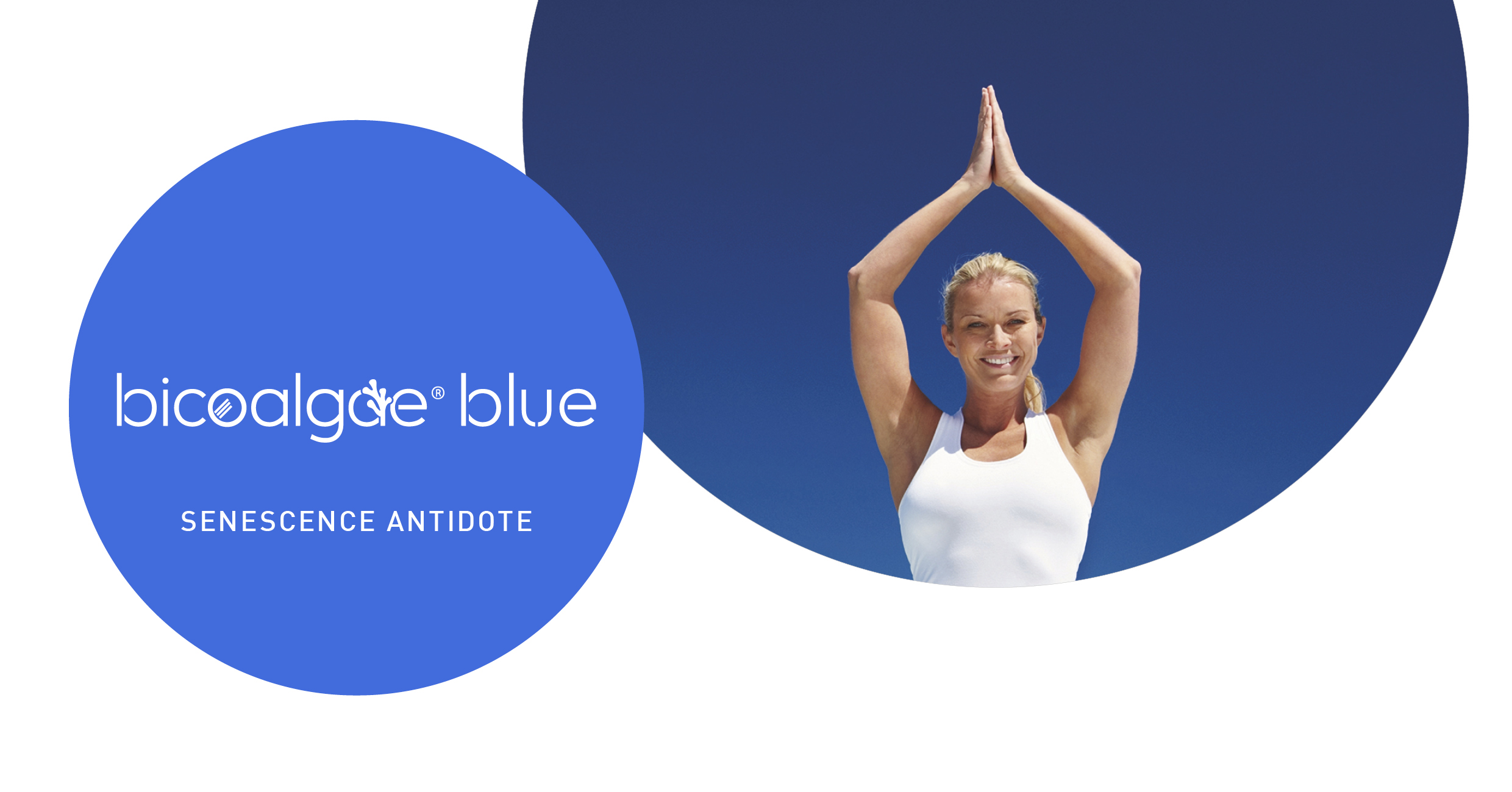 Bicoalgae blue