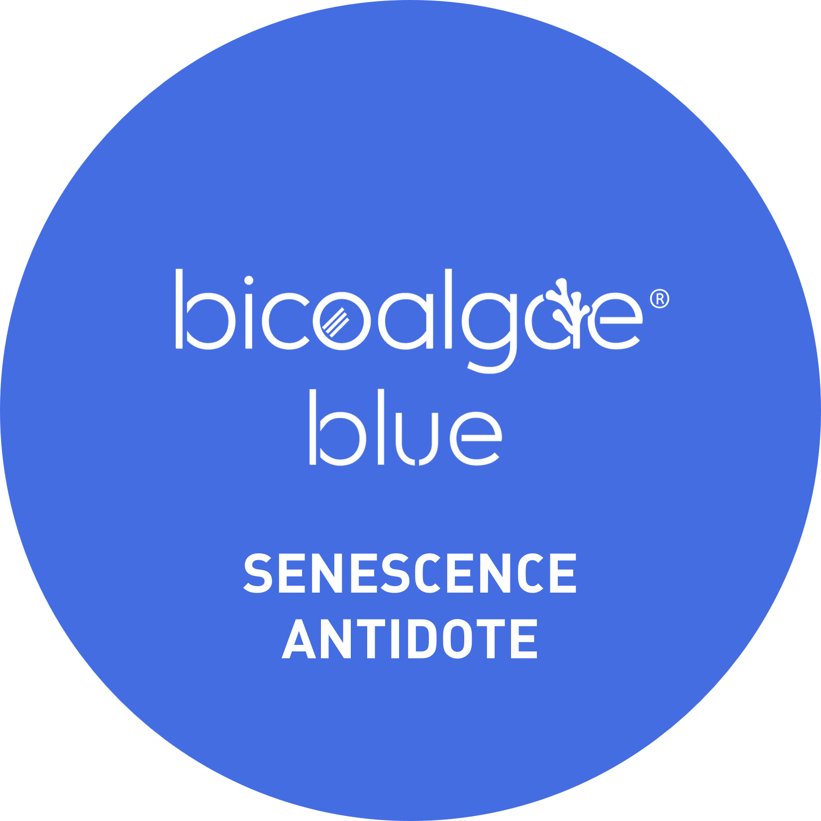 Imagen1 – Bicoalgae blue