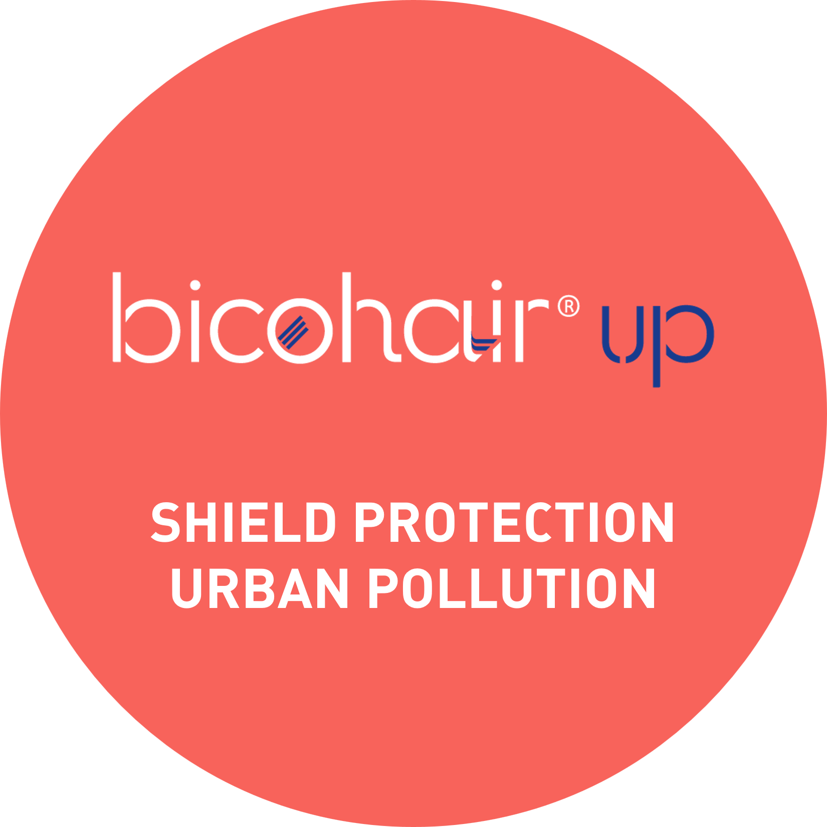 Imagen1 – Bicohair UP